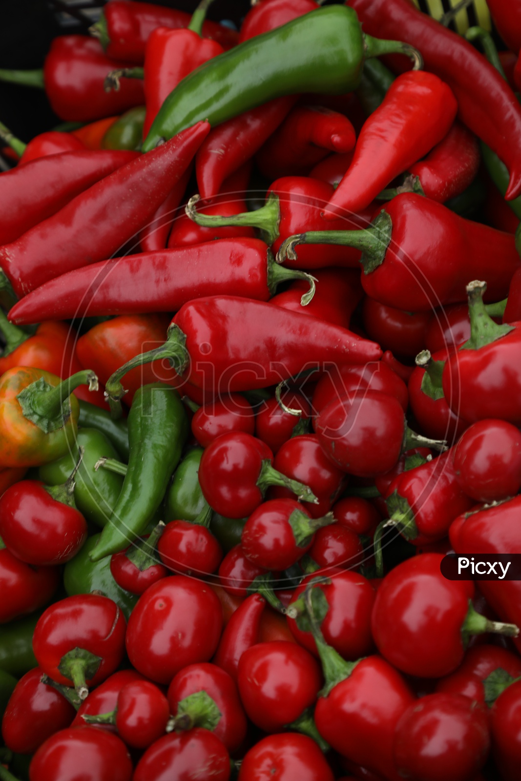 Red Bell pepper