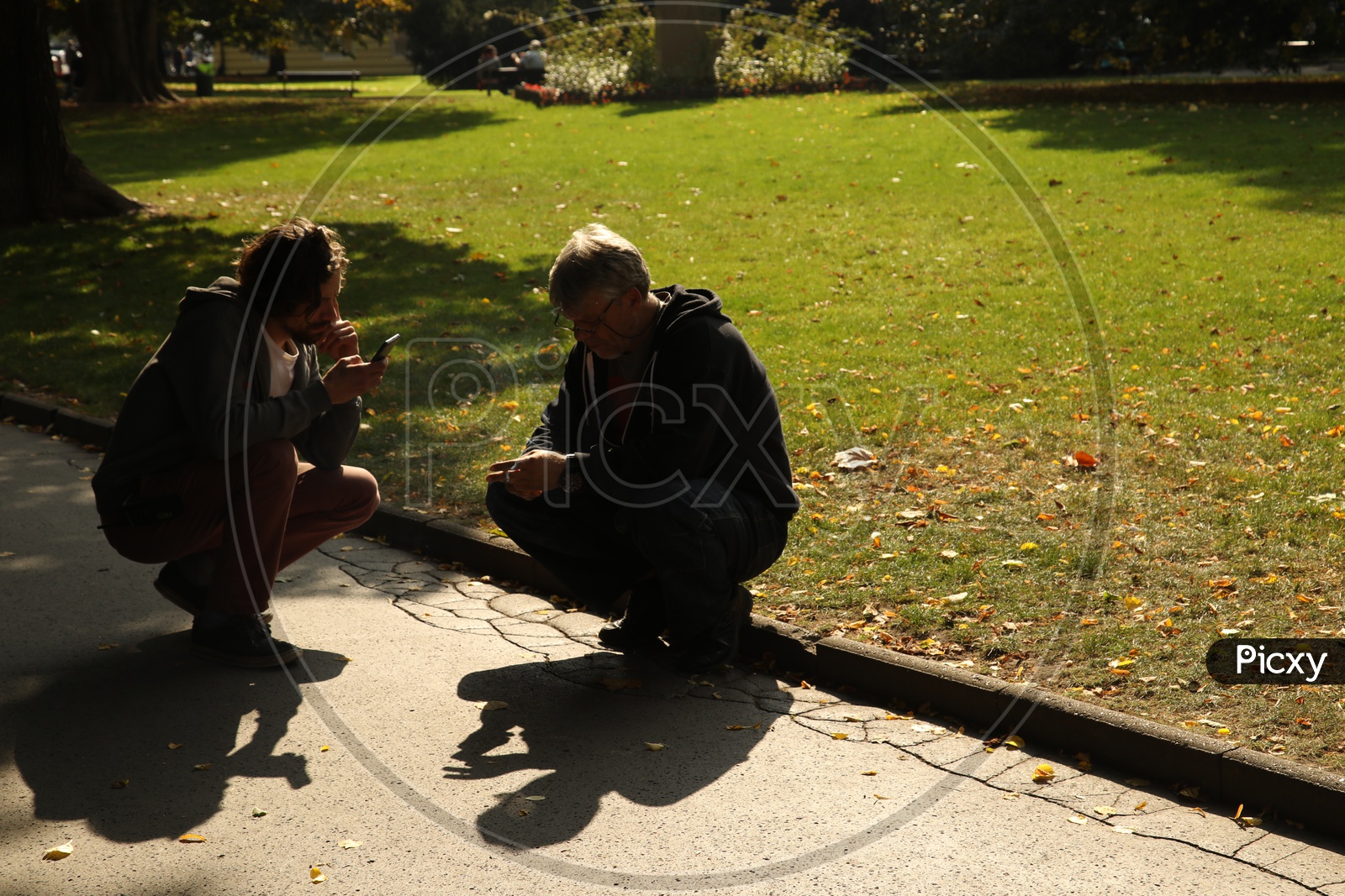 Two men checking their mobile phone in a park
