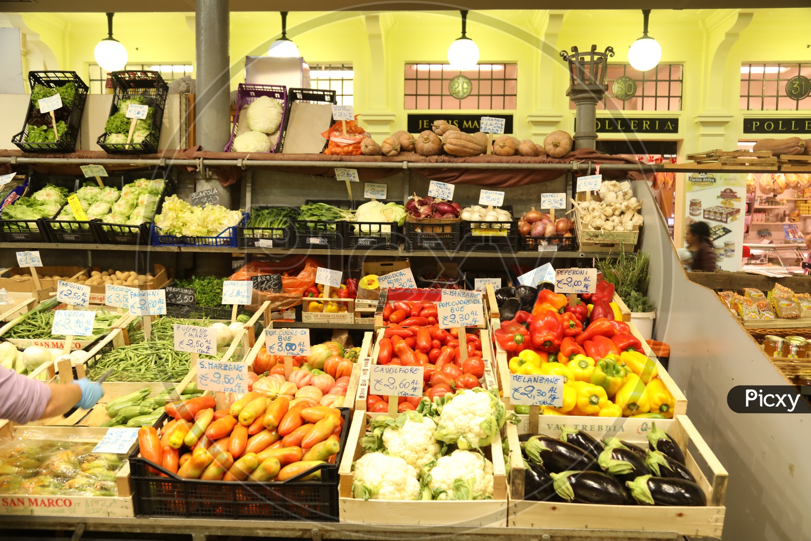 Different vegetables in Baskets in a Supermarket
