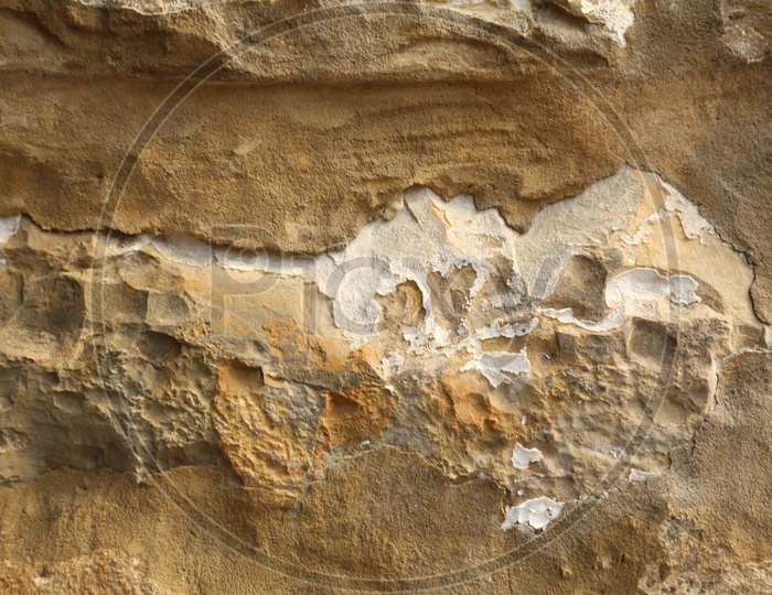 Disseminated cement layer on a wall