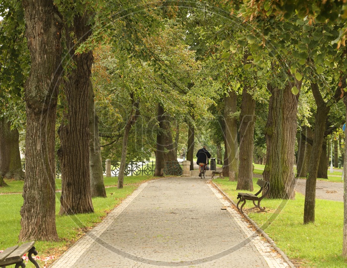 Pathway at autumn park