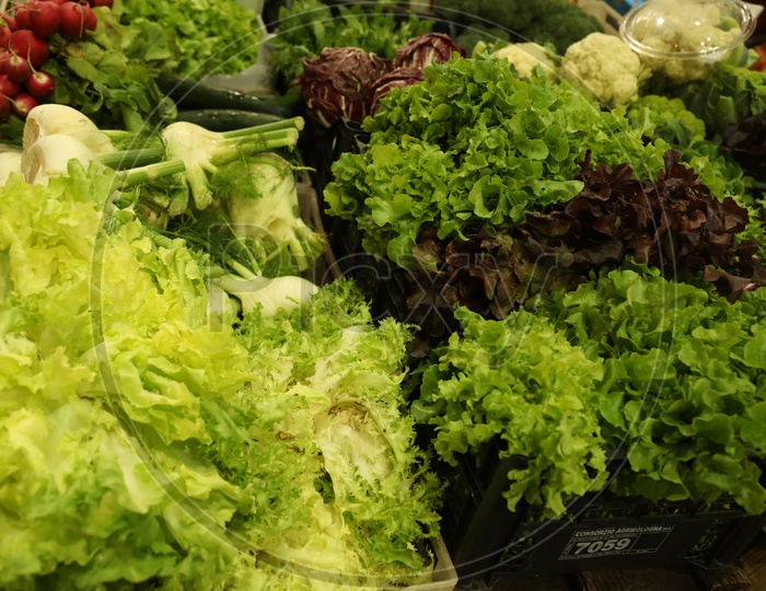 Green Leafy Vegetables In a SuperMarket