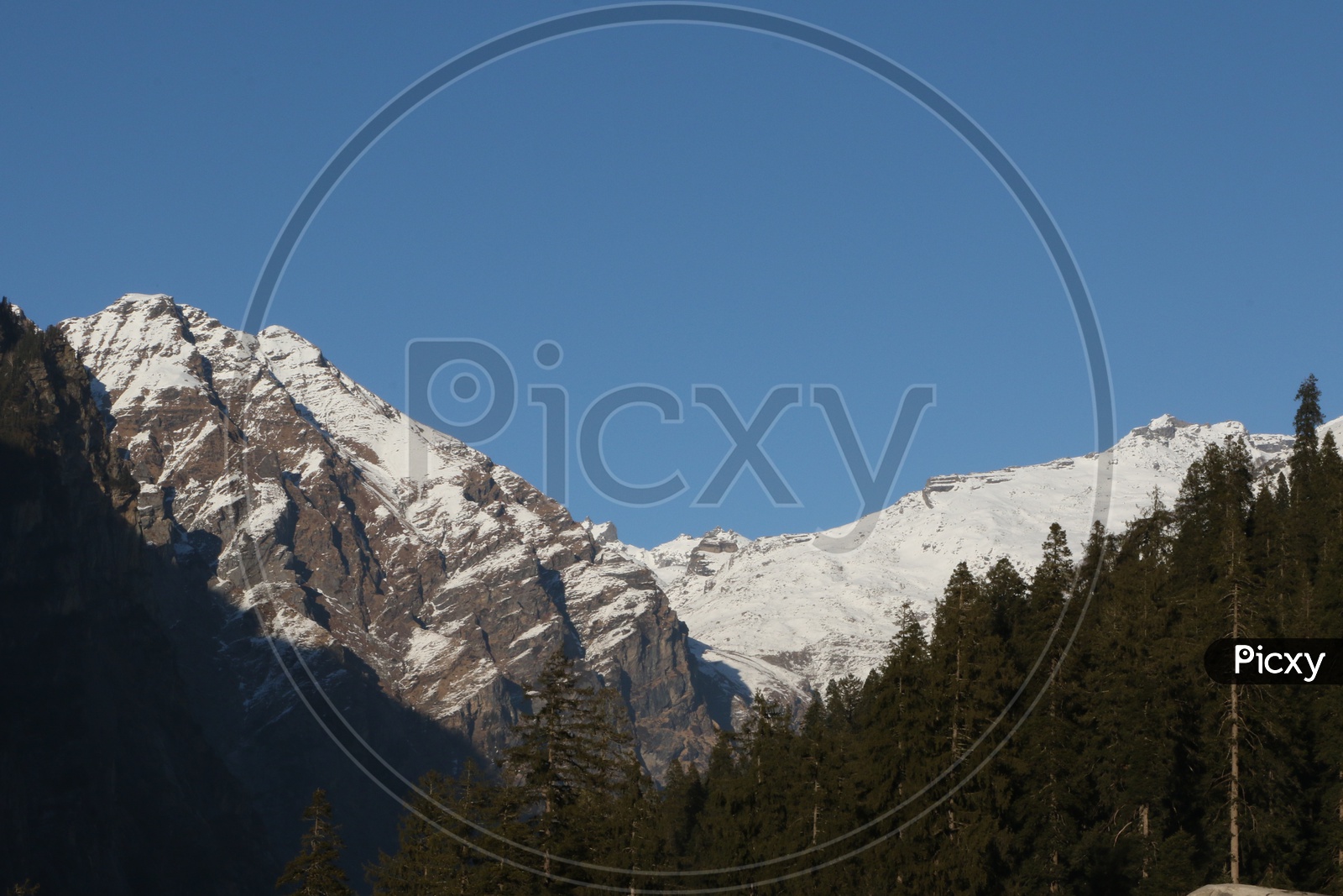 Landscapes of Manali - Snow capped Mountains & Trees
