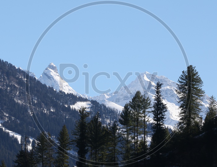Landscapes of Manali - Snow capped Mountains & trees