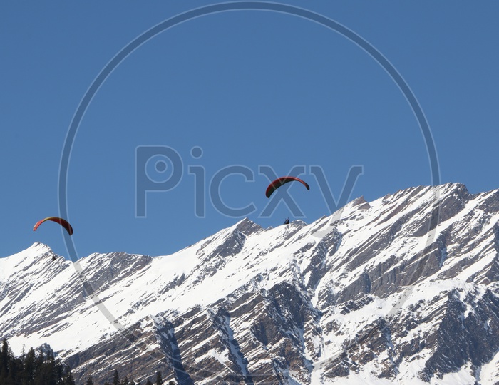 Paragliding at Manali - Snow capped Mountains & trees