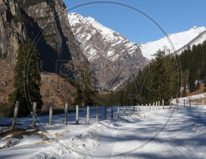 Landscapes of Manali - Snow capped Mountains & Trees