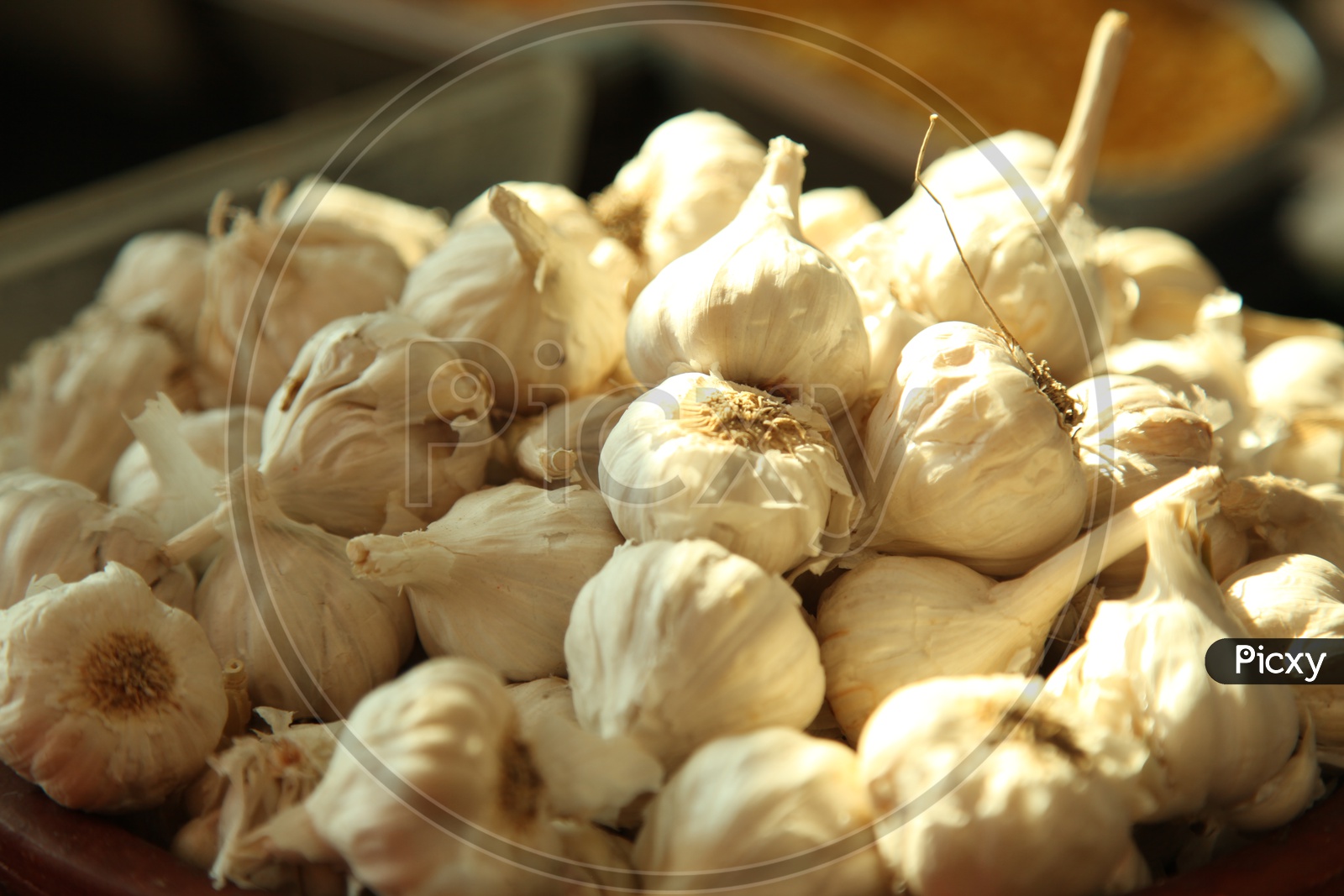 Garlic Closeup Shot