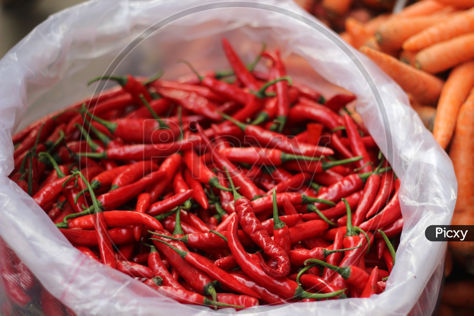 Close up shot of red chillies placed in a bag