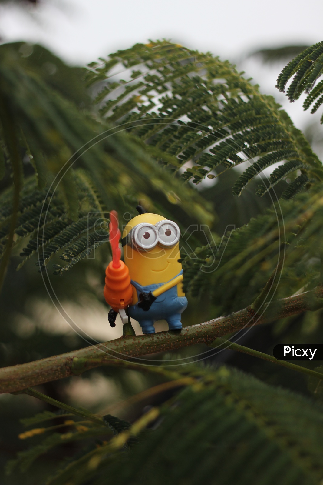 Toy Minion on the tree