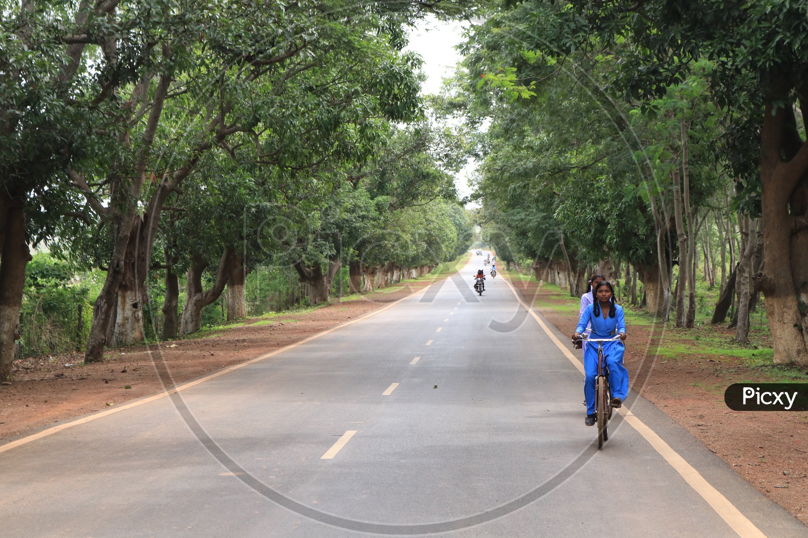 A school girl riding a bicycle on the road with trees on either side