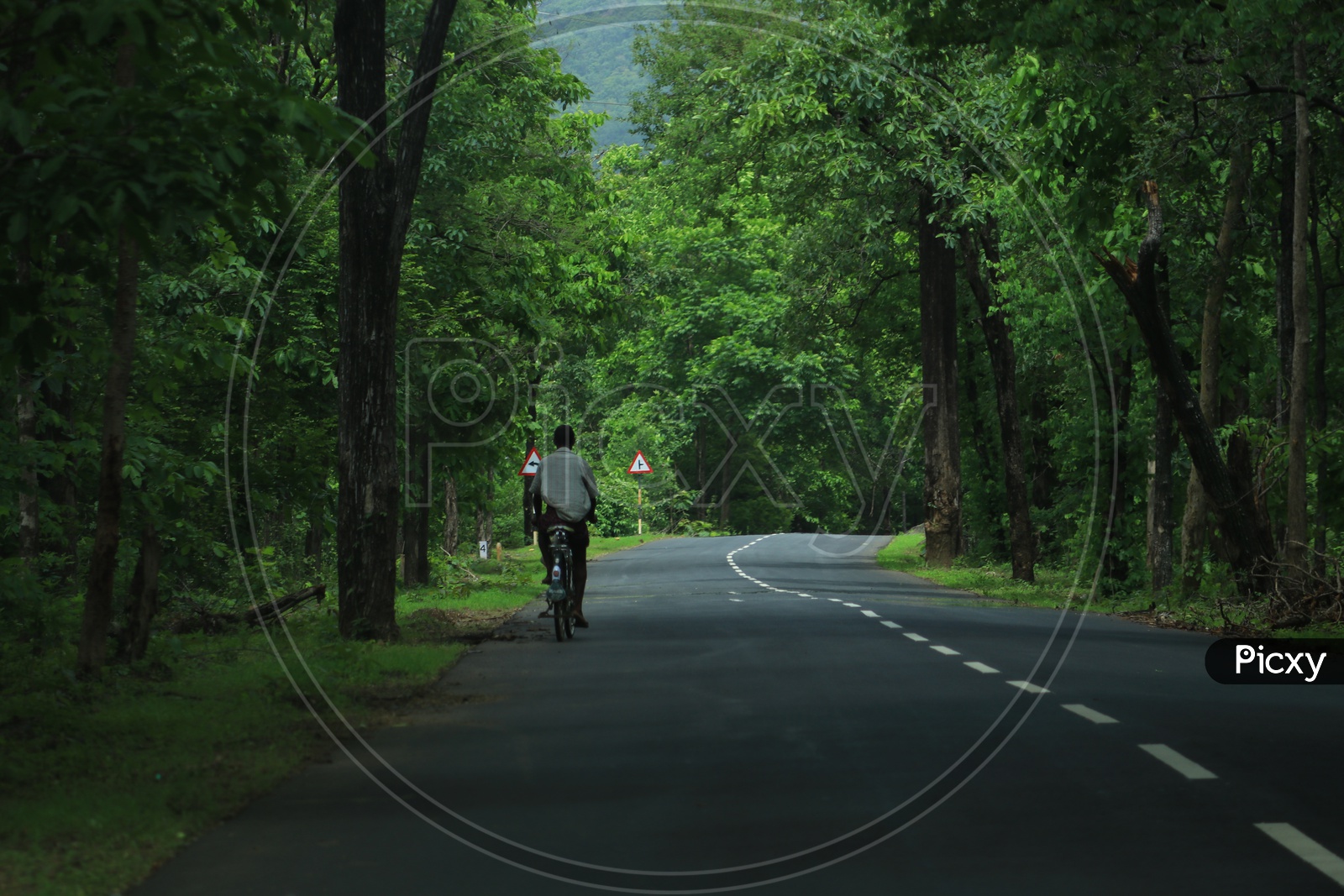 A bicycle on a road covered with green trees on either side