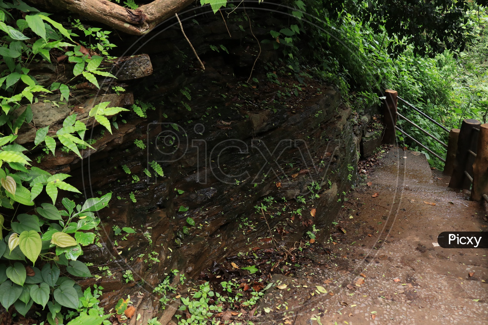 Pathways With Rock Steps at a Water Falls