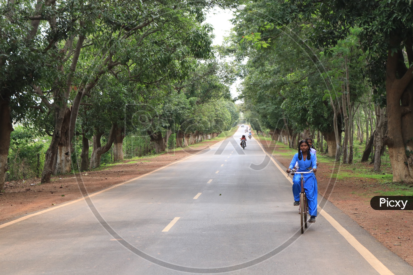 School girls on a bicycle on road