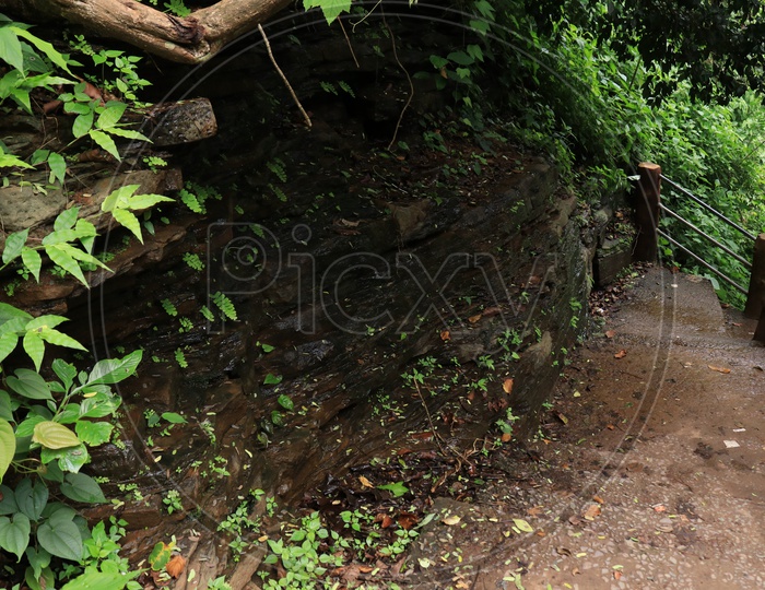 Pathways With Rock Steps at a Water Falls