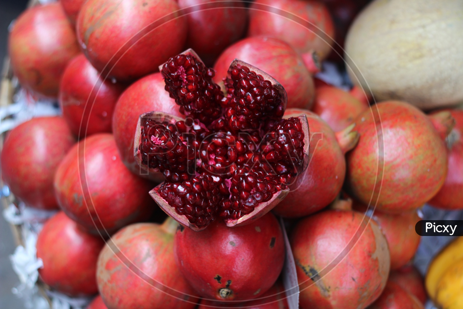 Photograph of opened pomegranate fruit