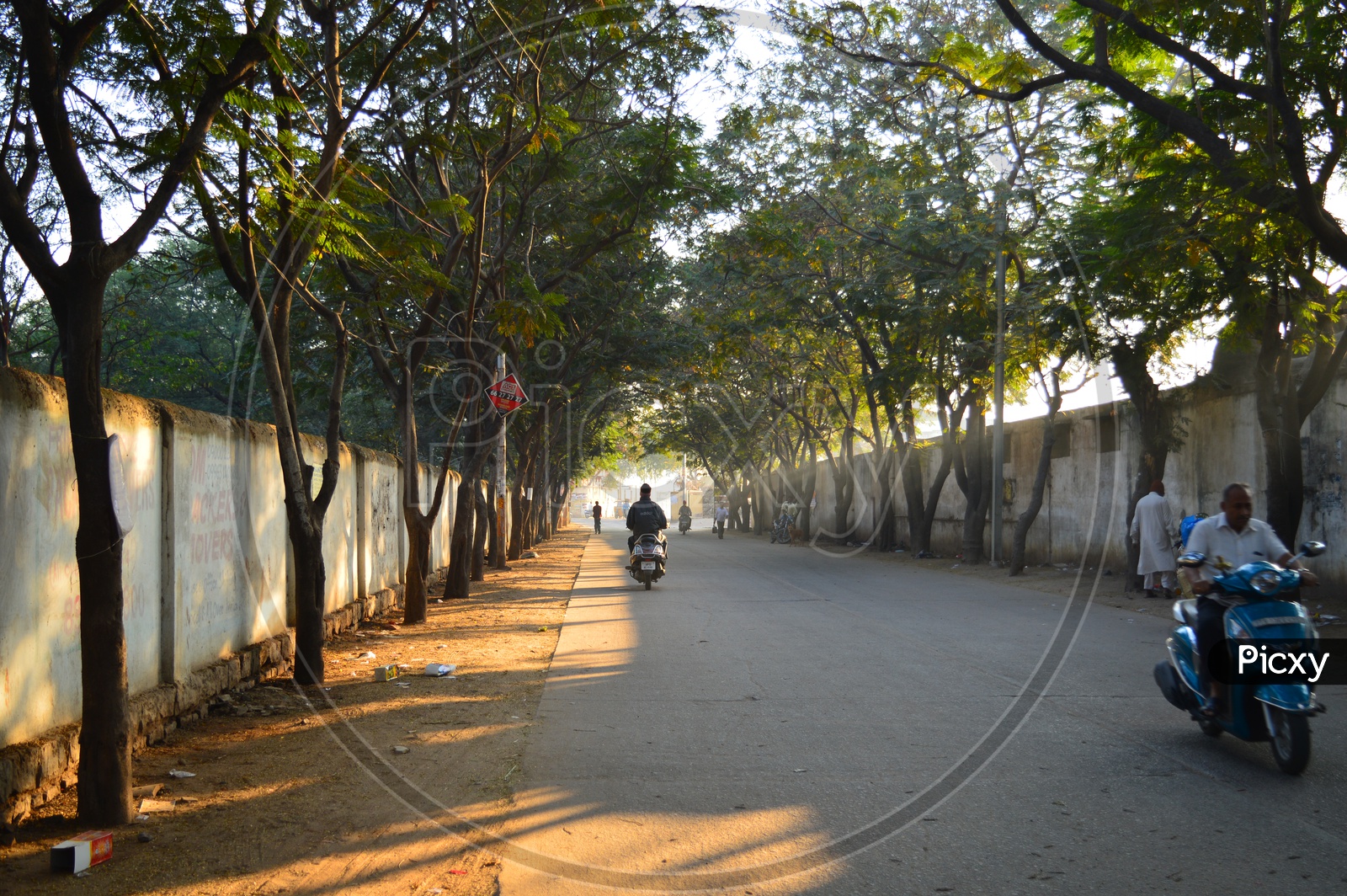 A view of road with trees along side