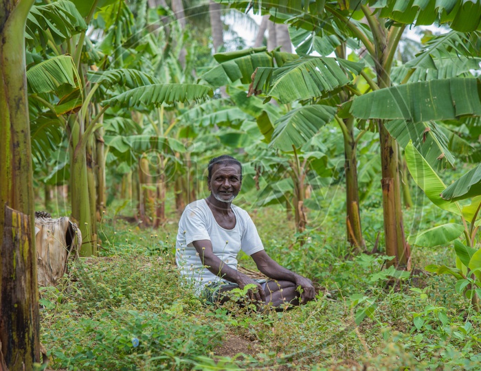 A Smiling farmer in a banana field