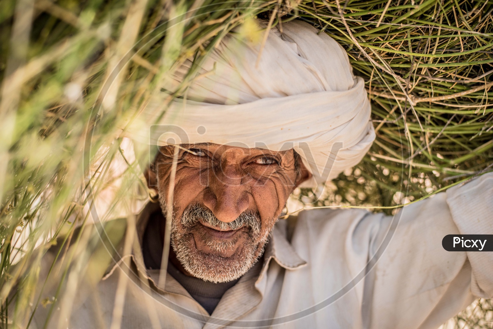 Portrait of rajasthani Farmer
