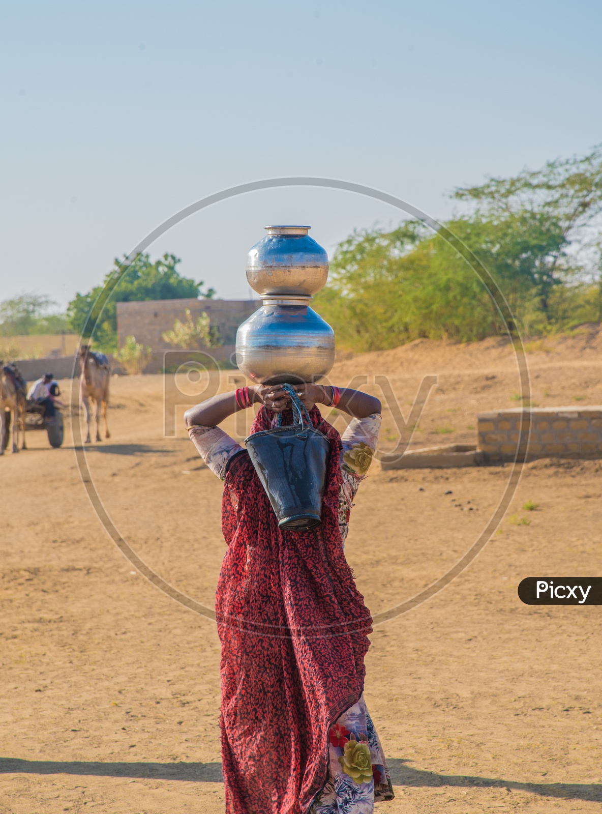 rajasthani Village woman carrying water pots on head