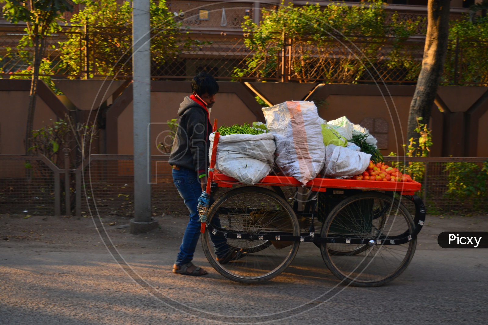 A vegetable vendor carrying his cart on road