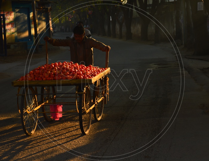 A tomato vendor carrying his cart on road