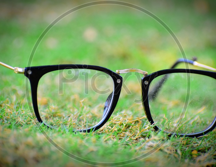 eye glasses lying on grass