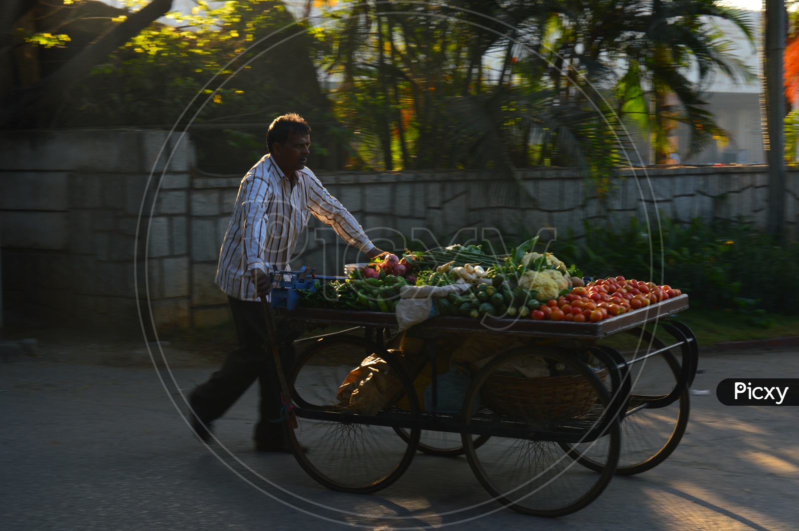A vegetable vendor carrying his cart on a road