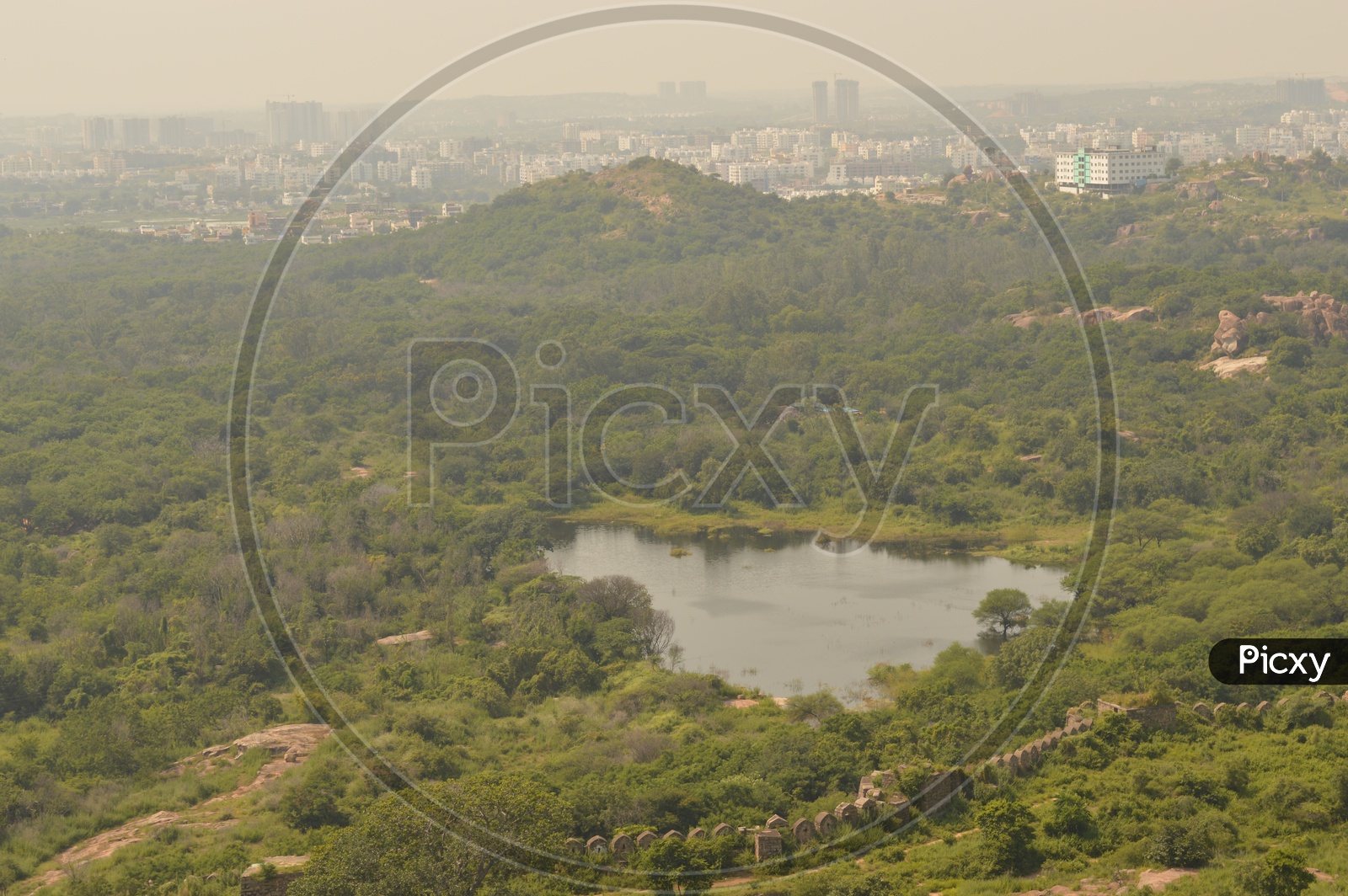 A view of the pond and surrounding trees from Golconda
