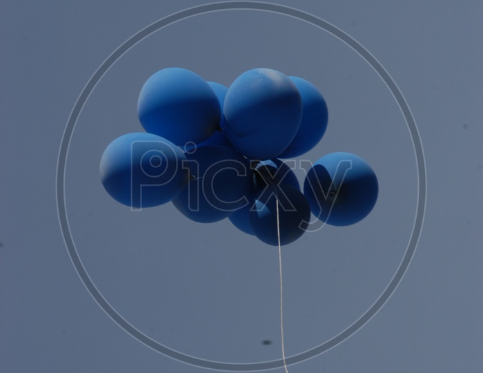 Blue colored Balloons flying in air