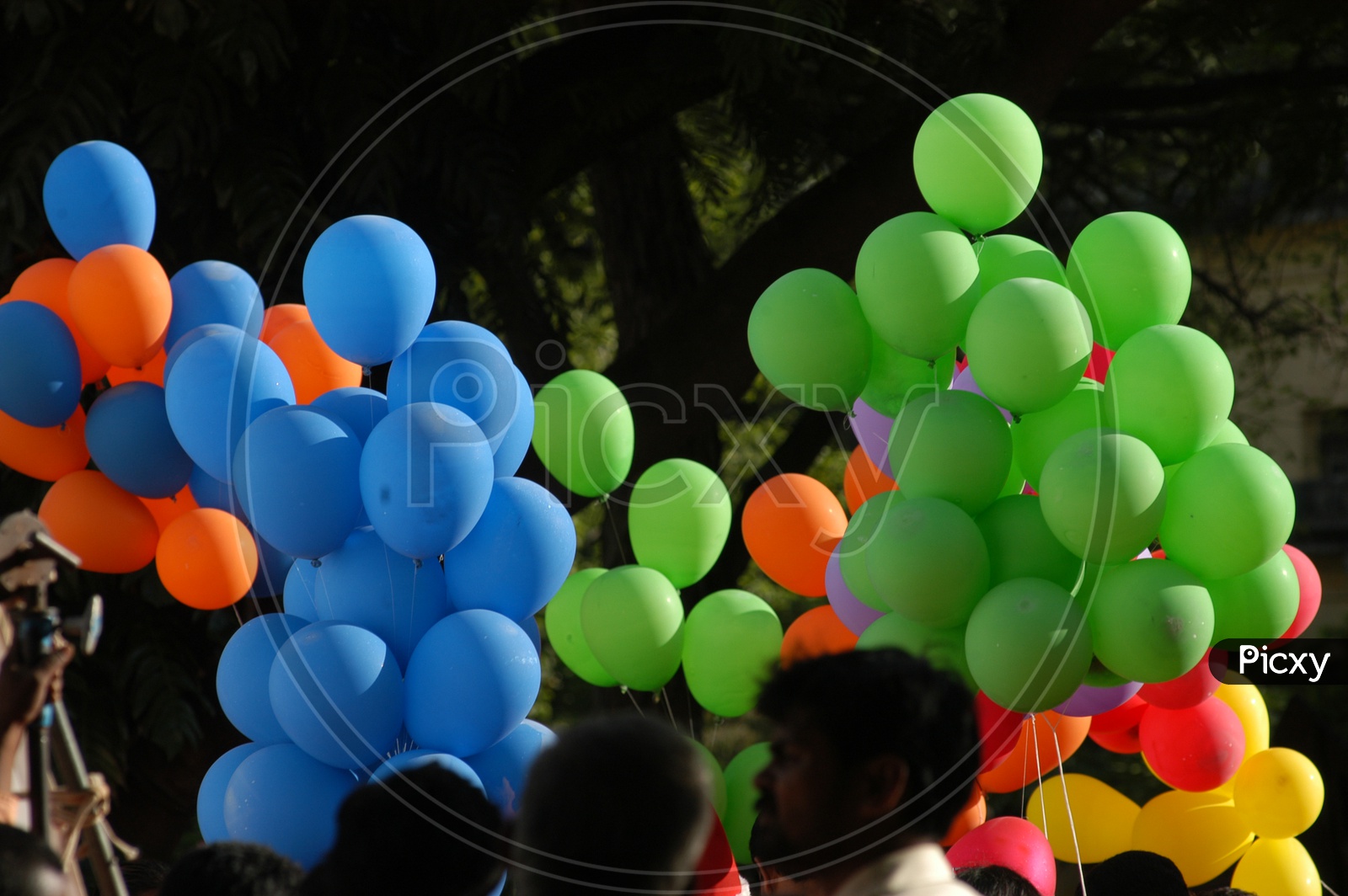 Colour Balloons Decoration