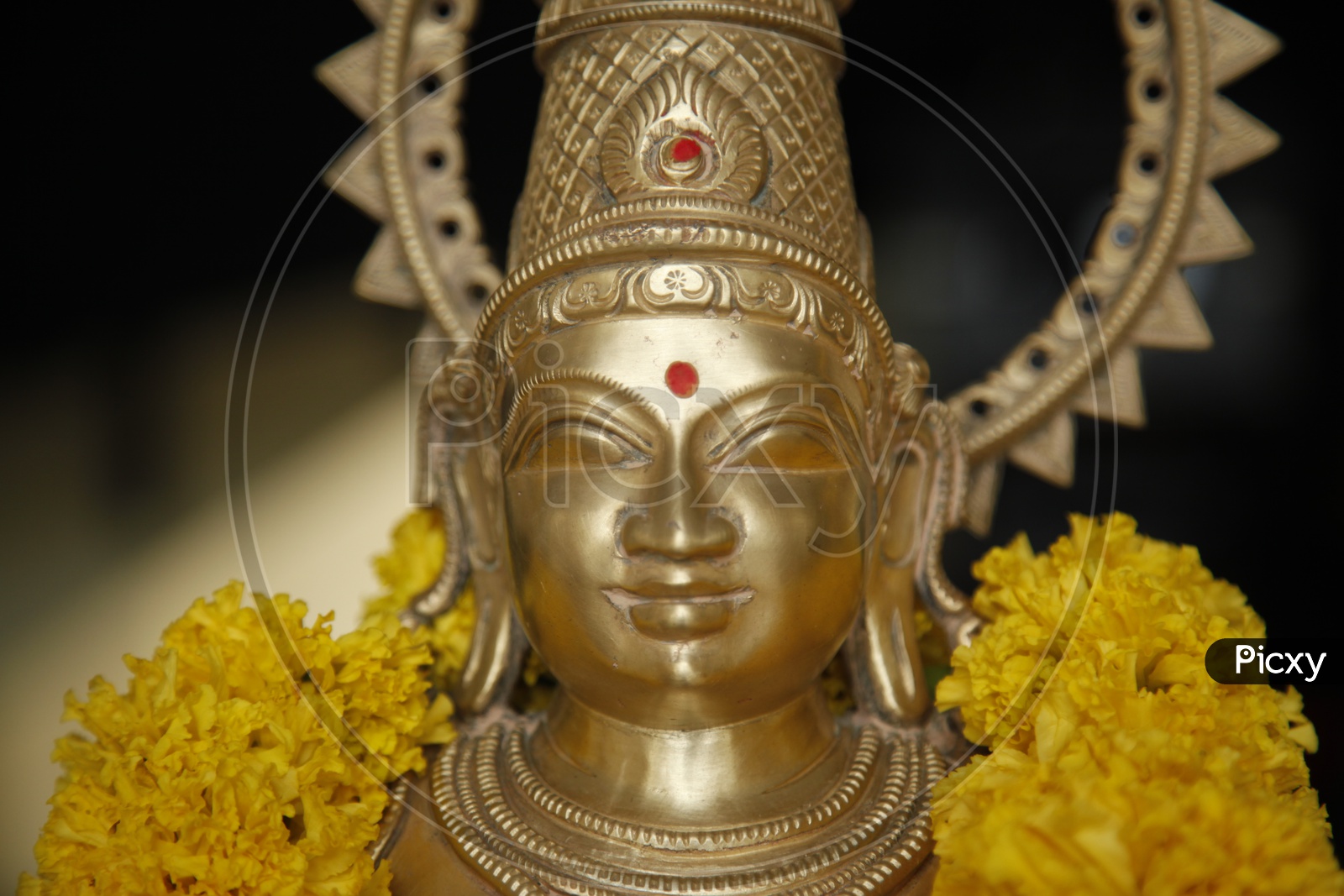 Gold coated statue of a Hindu Goddess