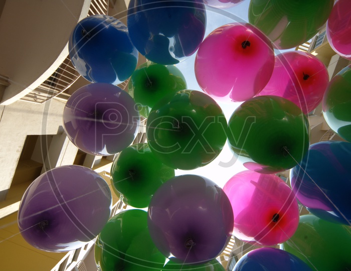 Image of Colorful Baloons-HY416337-Picxy