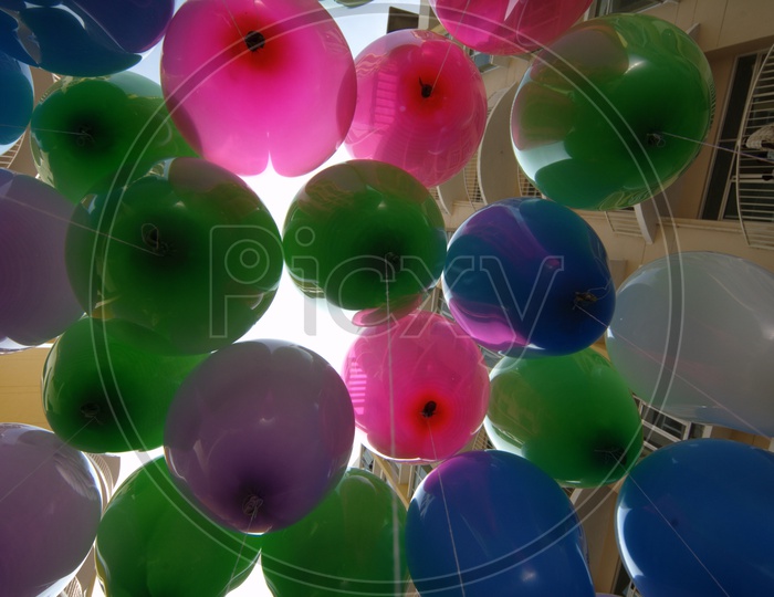 View of Colourful balloons from the bottom