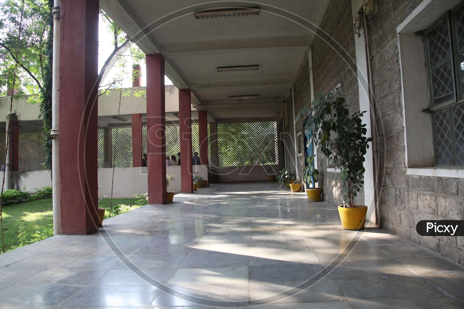 Corridor of a School/College