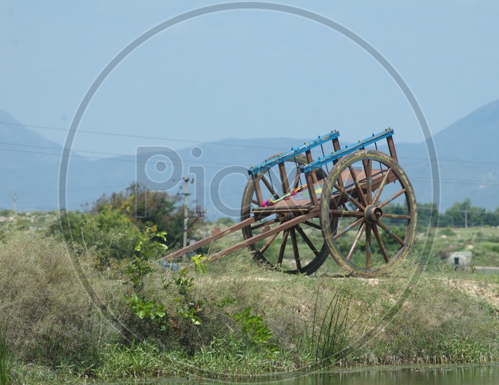 Bullock Cart at Rural Area