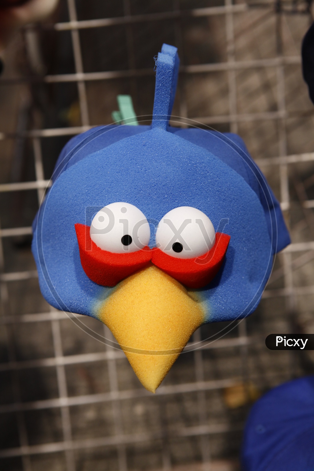 Face of an angry bird toy