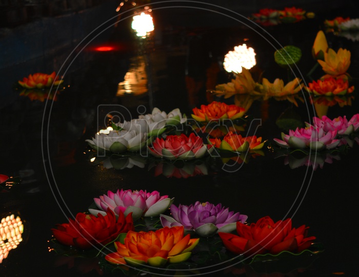 Decorated lotuses in the water