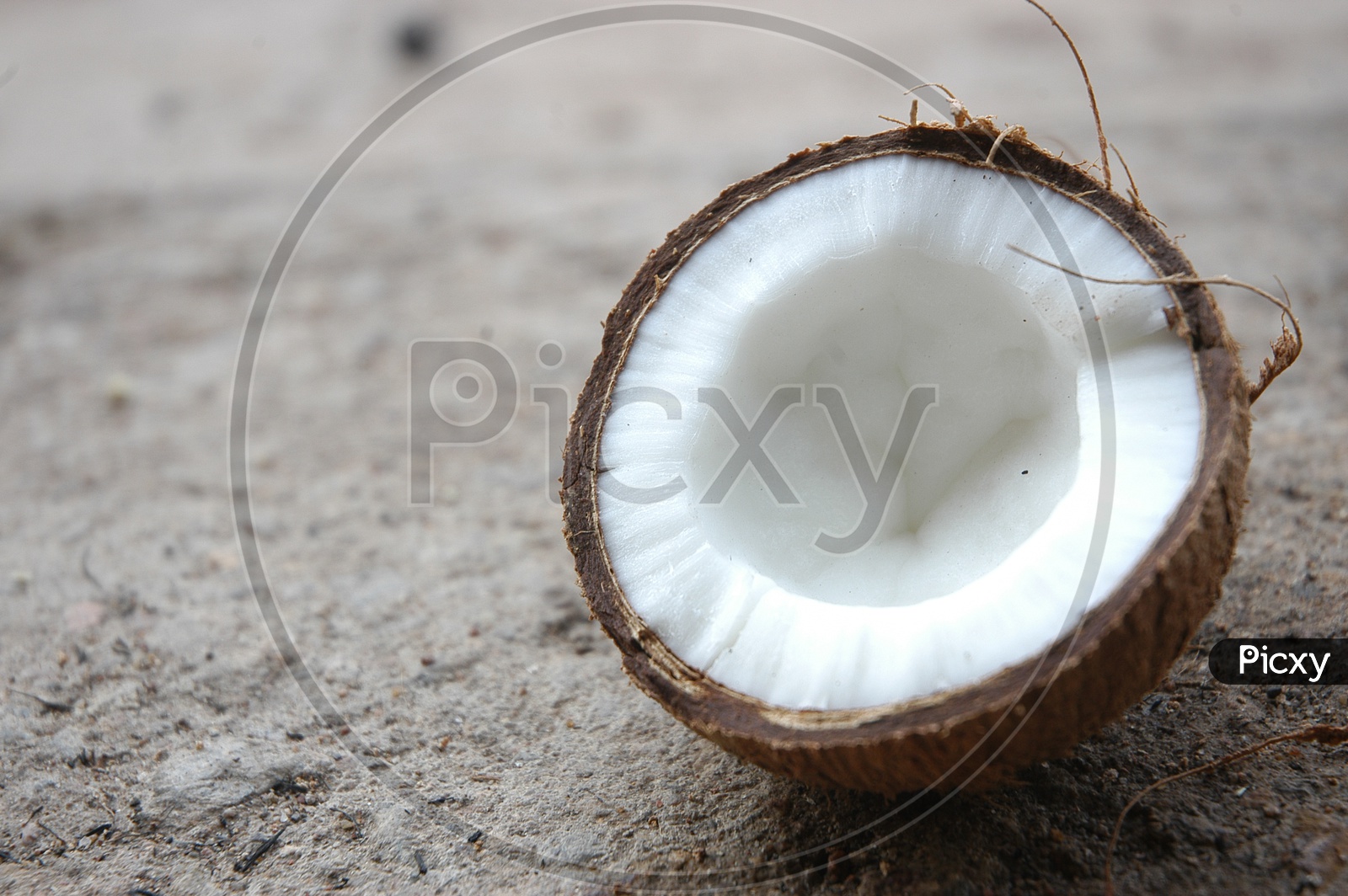Coconuts Close op