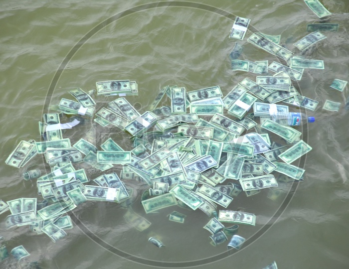 Bunch of dollar notes dispersed in Water.