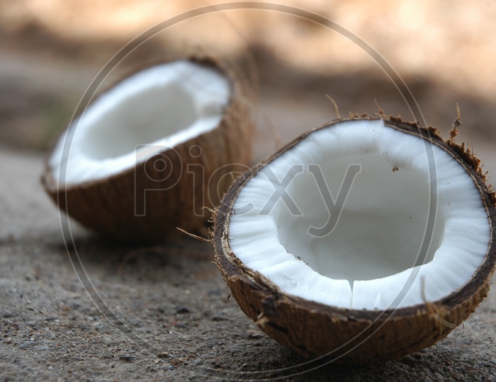 Coconuts Close op