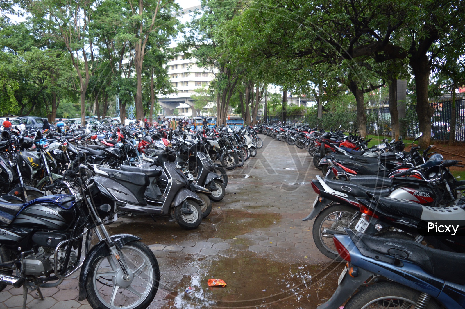 bikes parked in the parking