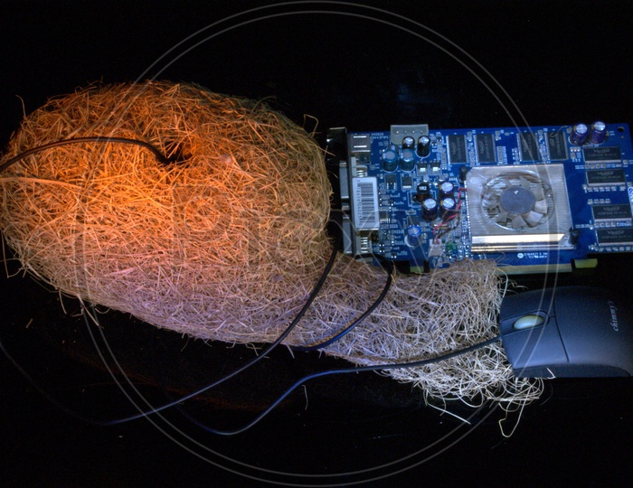 A nest and an electronic circuit board and a mouse
