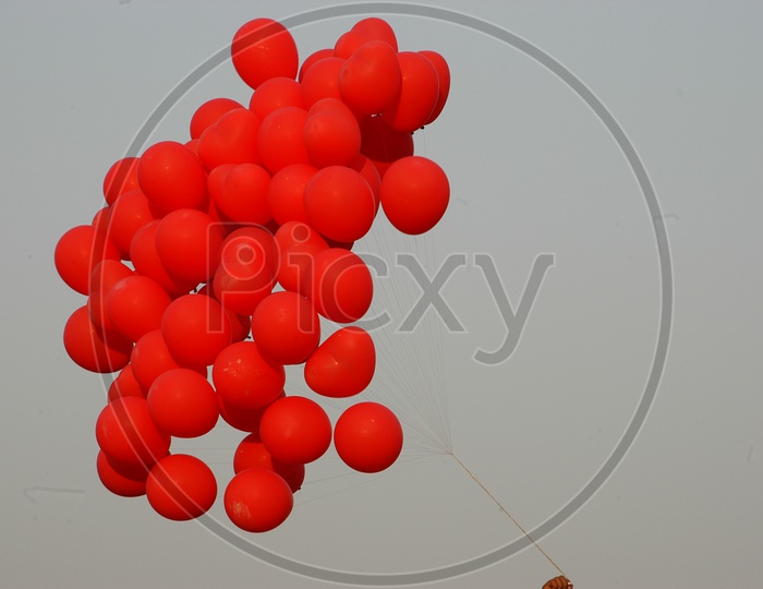 Red colored Balloons flying in air