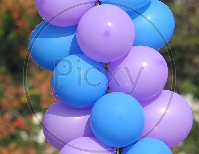 Colorful balloons decoration