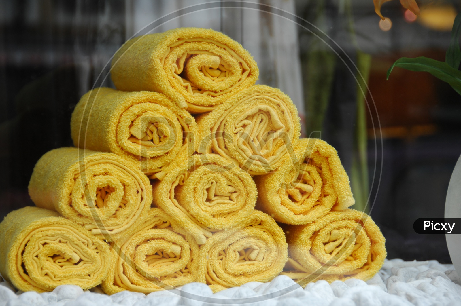 Image of Yellow Coloured Face TowelsXT230324Picxy