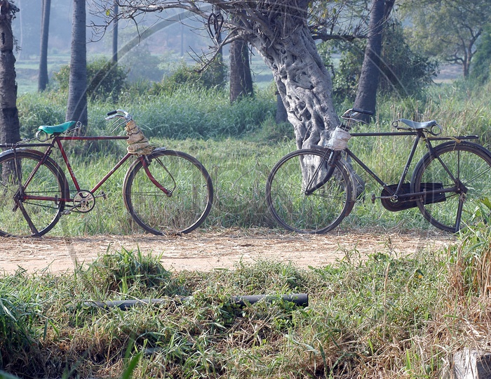 two cycles in a farm