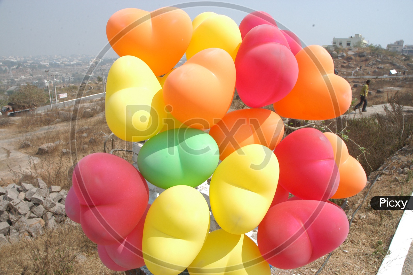 Colorful heart shaped balloons