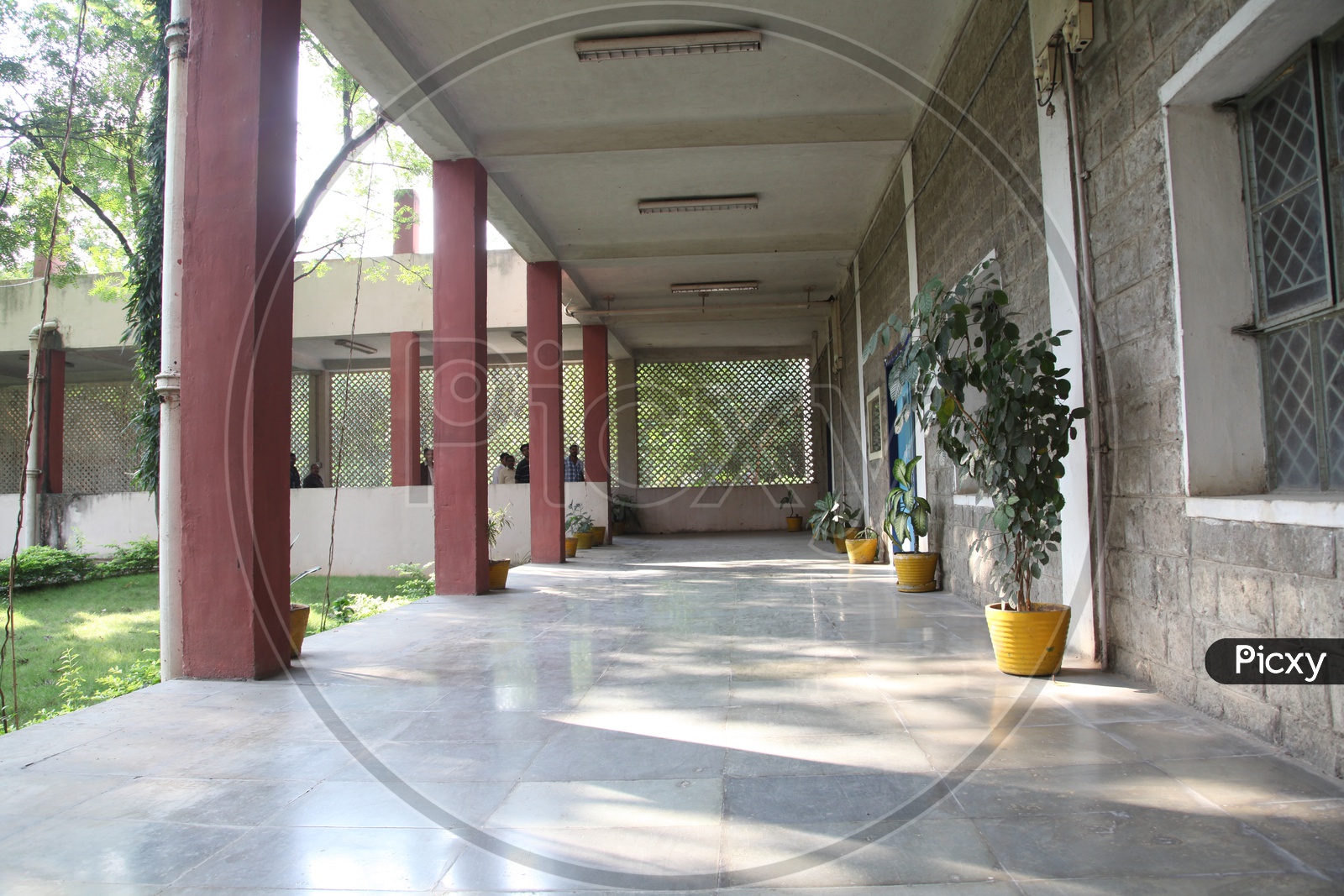 Corridor of School/College