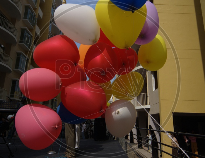 Colorful Baloons