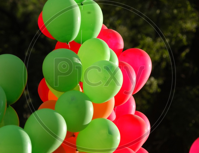 Colour Balloons Decoration
